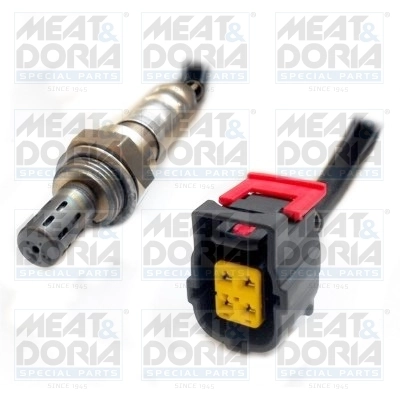 Oxygen Sensor